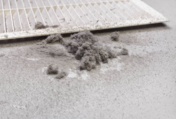 Best Best Air Duct Cleaning Company  in Pine Grove Mills, PA