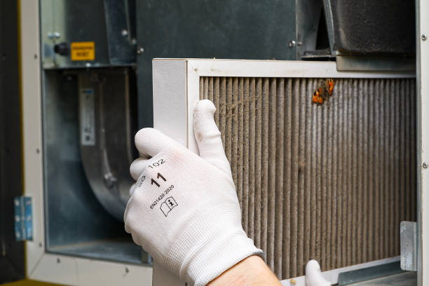 Best Local Air Duct Cleaning Services  in Pine Grove Mills, PA